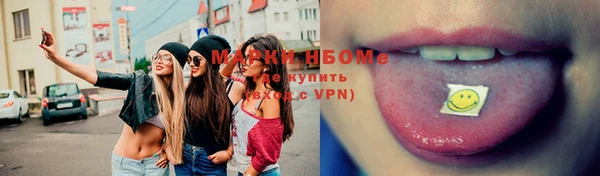 прущие грибы Суровикино