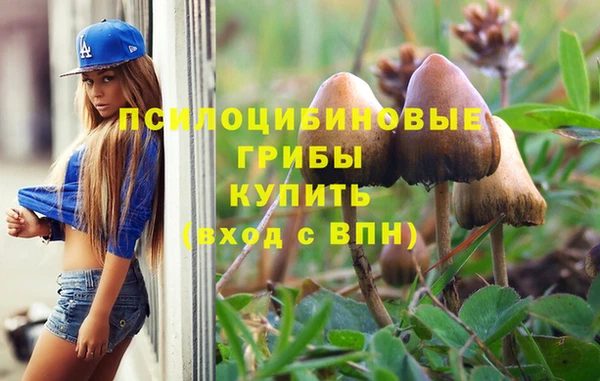 MESCALINE Нязепетровск
