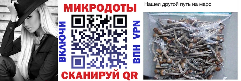Псилоцибиновые грибы прущие грибы  Ленинградская 